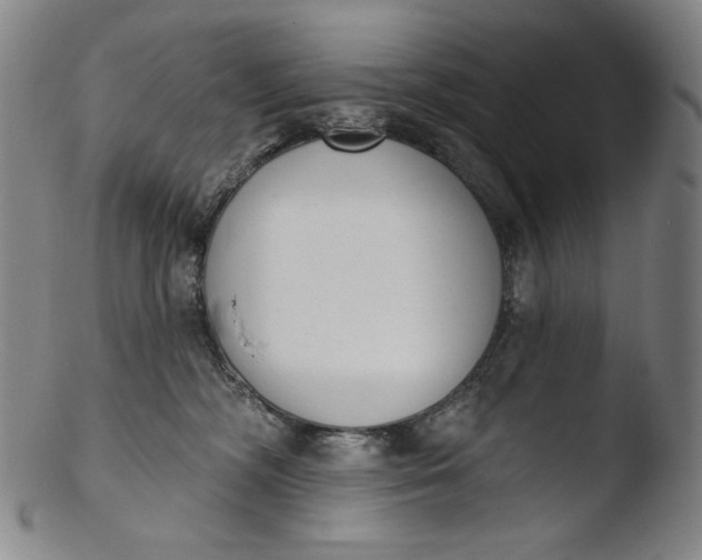 X0000103440326200809261759