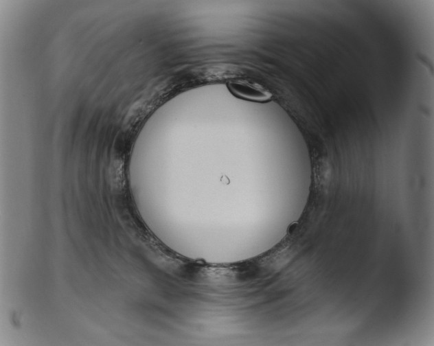 X0000103440327200809261759
