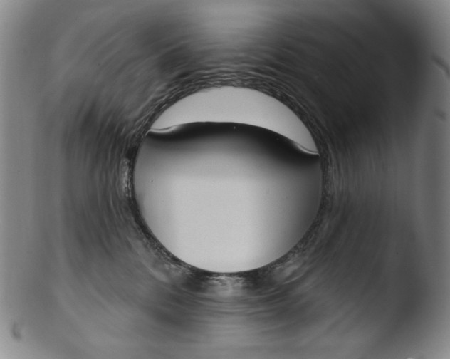 X0000103440328200809261759