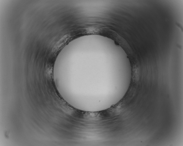 X0000103440329200809261759