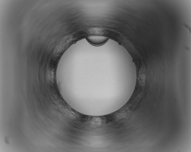 X0000103440330200809261759