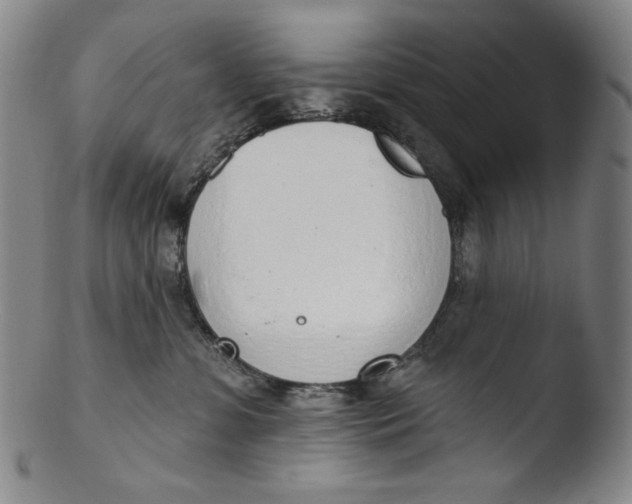 X0000103440331200809261759