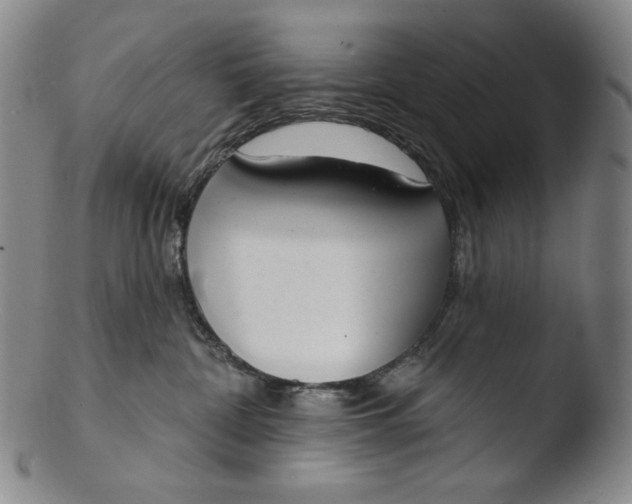 X0000103440332200809261759