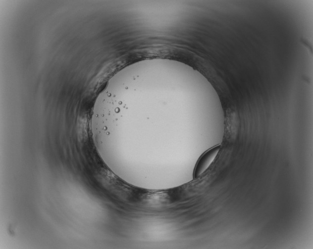 X0000103440333200809261759