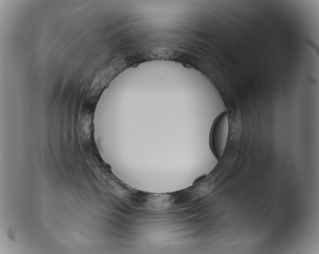 X0000103440334200809261759