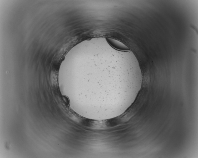 X0000103440335200809261759