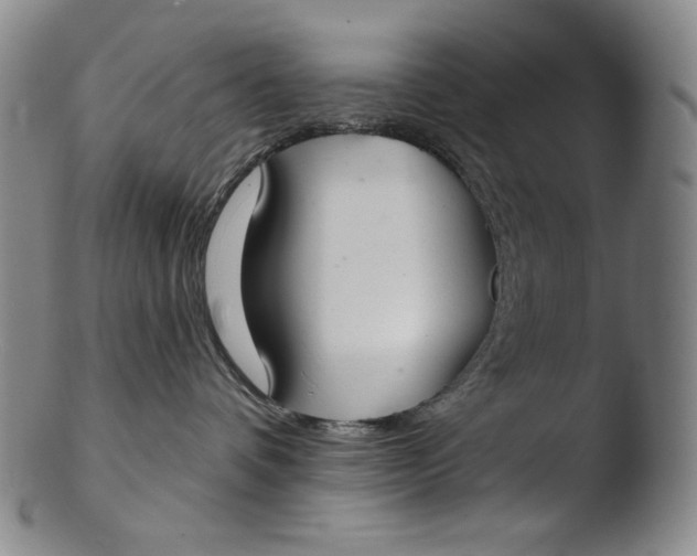 X0000103440336200809261759