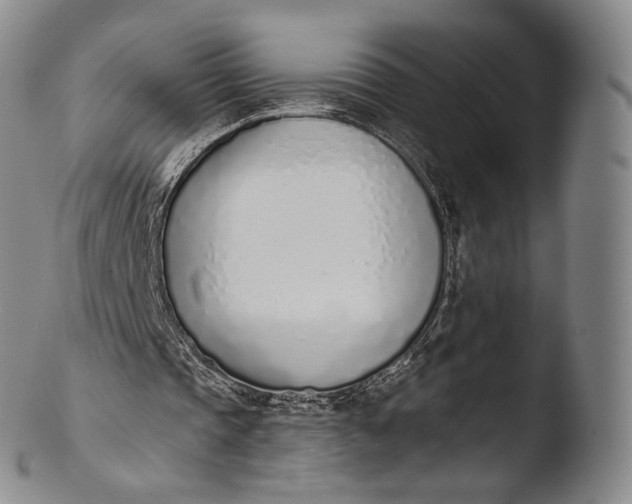 X0000103440337200809261759