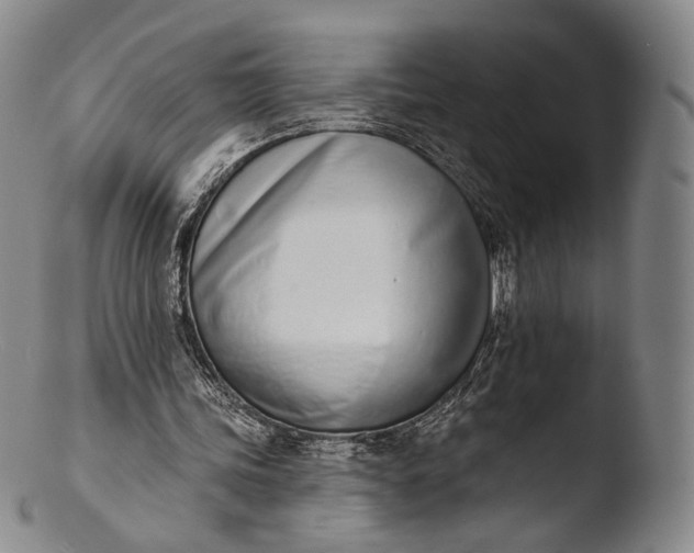X0000103440339200809261759