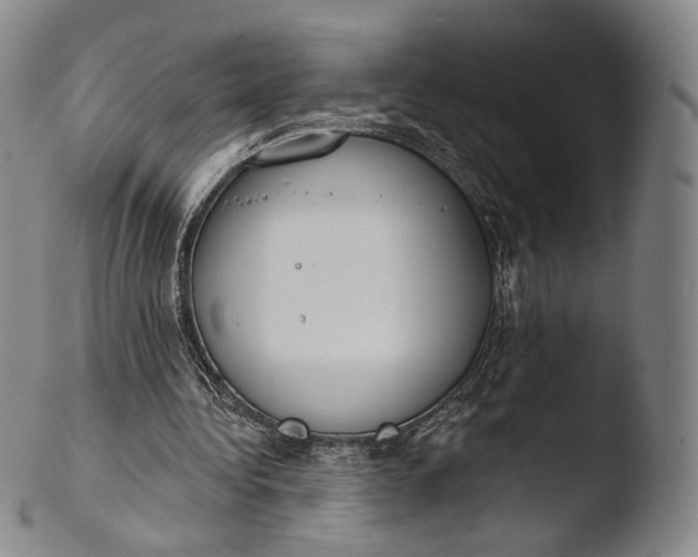 X0000103440340200809261759