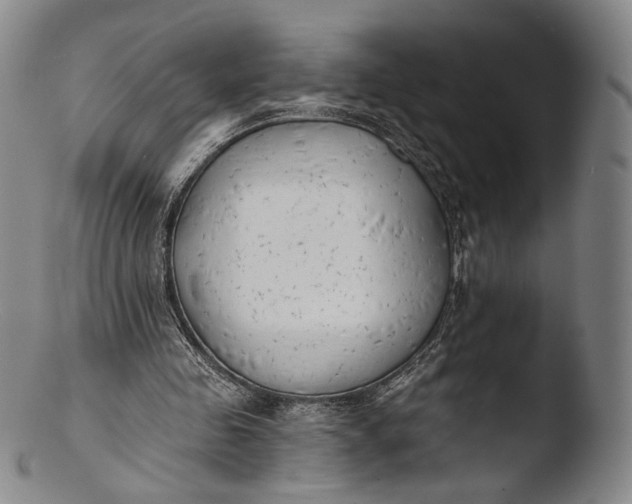 X0000103440341200809261759