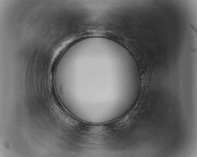 X0000103440342200809261759