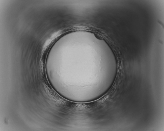 X0000103440343200809261759