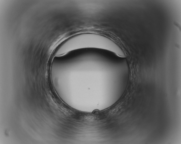 X0000103440344200809261759