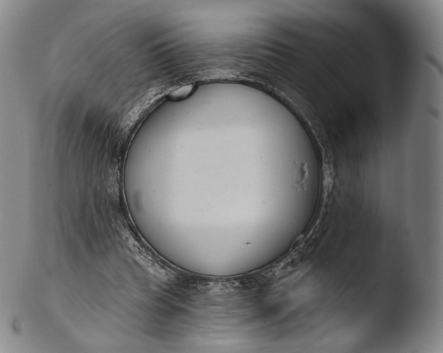 X0000103440345200809261759