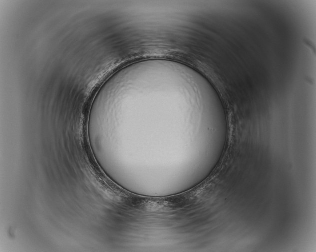 X0000103440346200809261759