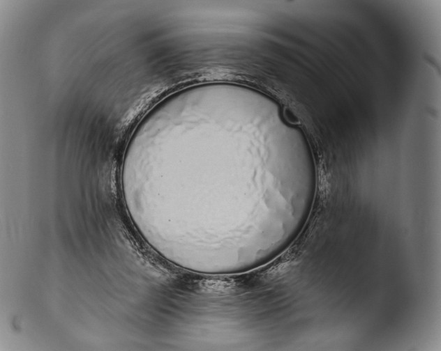 X0000103440347200809261759
