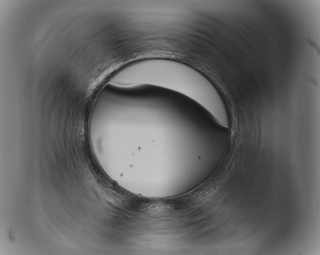 X0000103440348200809261759
