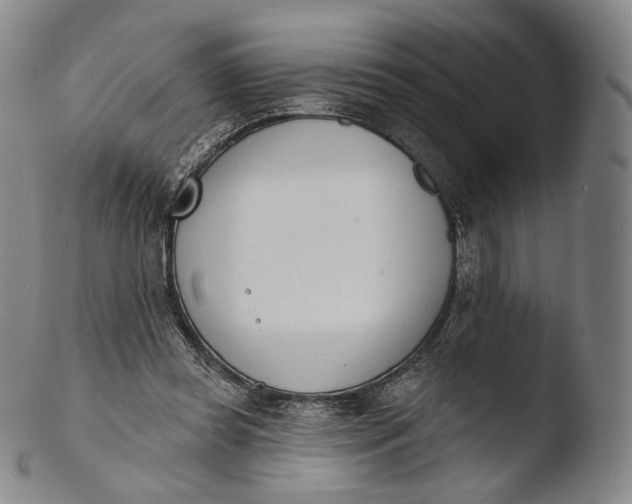 X0000103440349200809261759