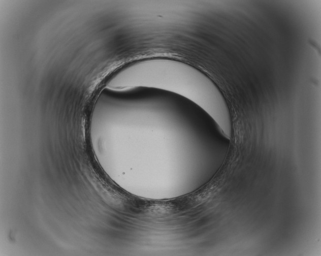 X0000103440350200809261759