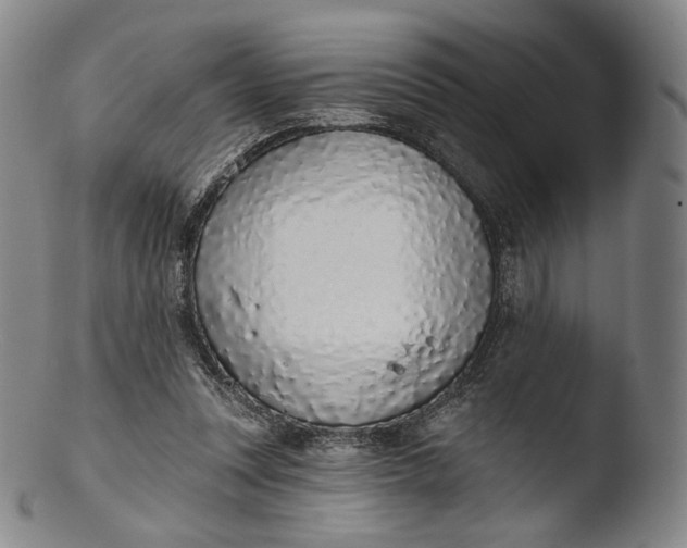 X0000103440351200809261759