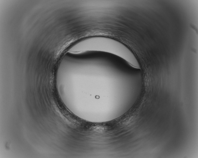 X0000103440352200809261759