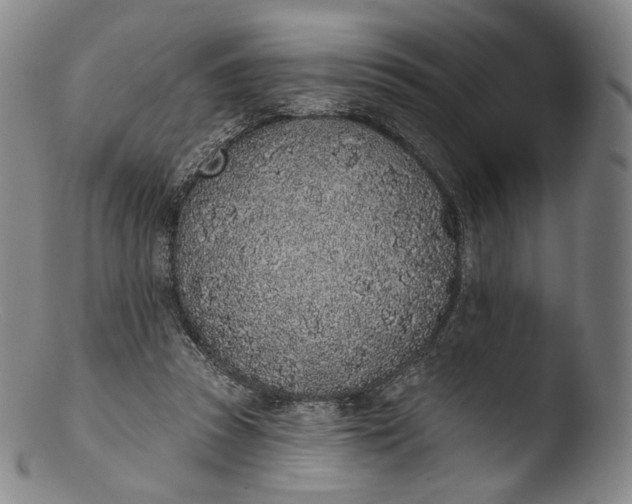 X0000103440353200809261759