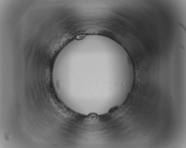 X0000103440354200809261759