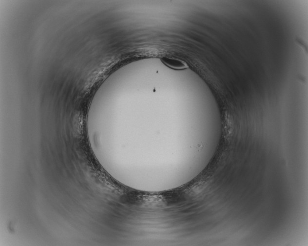 X0000103440355200809261759