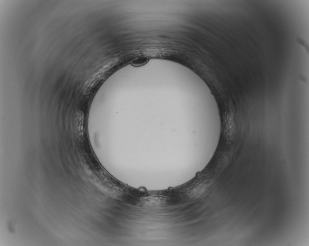 X0000103440356200809261759