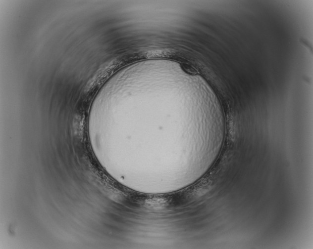 X0000103440357200809261759