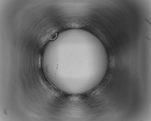 X0000103440358200809261759