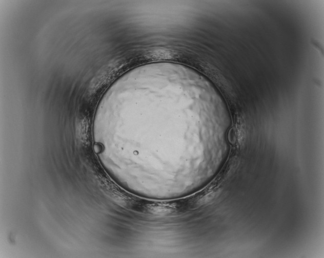 X0000103440359200809261759