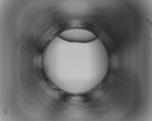 X0000103440360200809261759