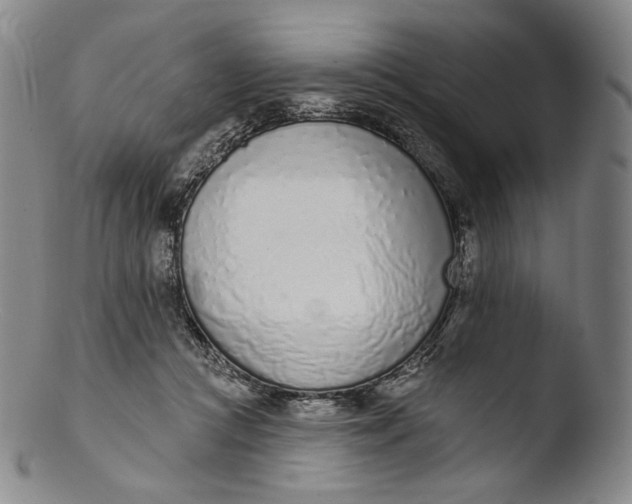 X0000103440361200809261759