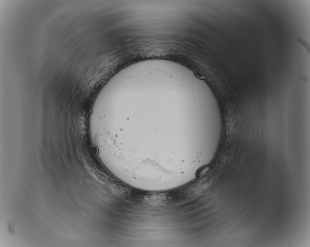 X0000103440362200809261759