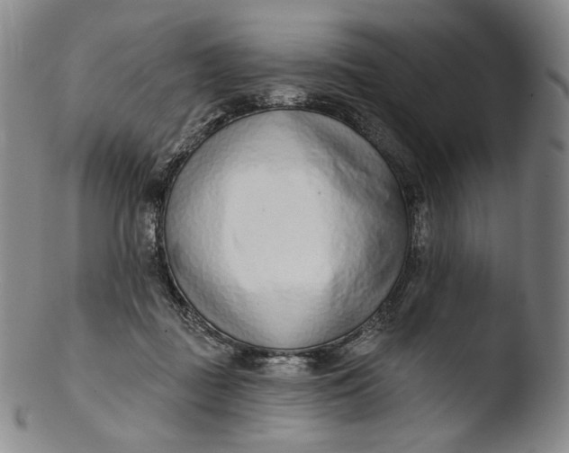 X0000103440363200809261759