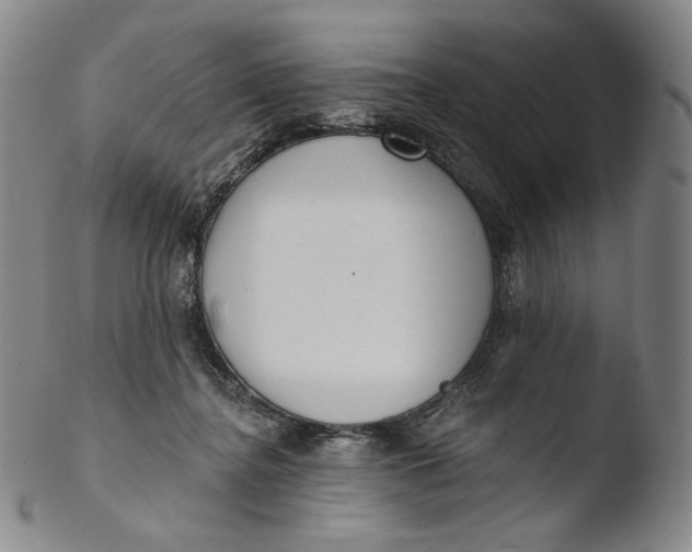 X0000103440364200809261759