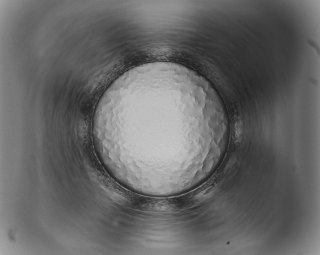 X0000103440365200809261759