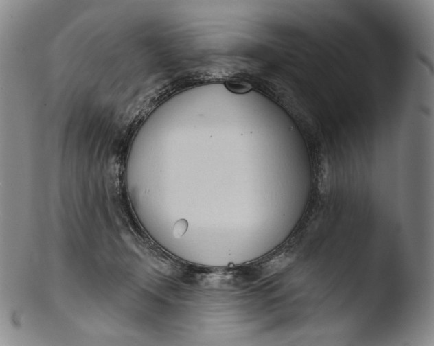 X0000103440366200809261759
