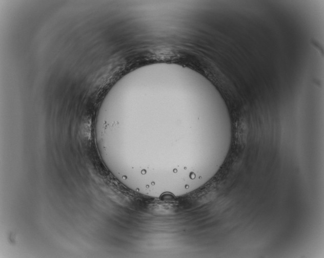 X0000103440368200809261759