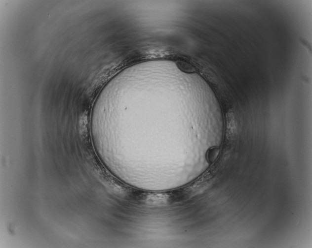X0000103440369200809261759