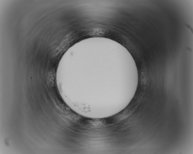X0000103440370200809261759