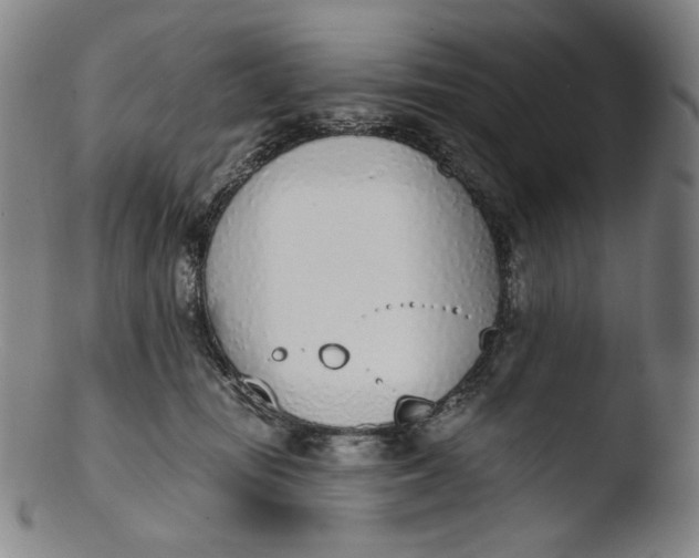 X0000103440371200809261759