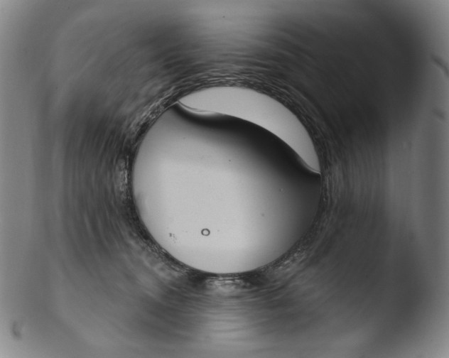 X0000103440372200809261759