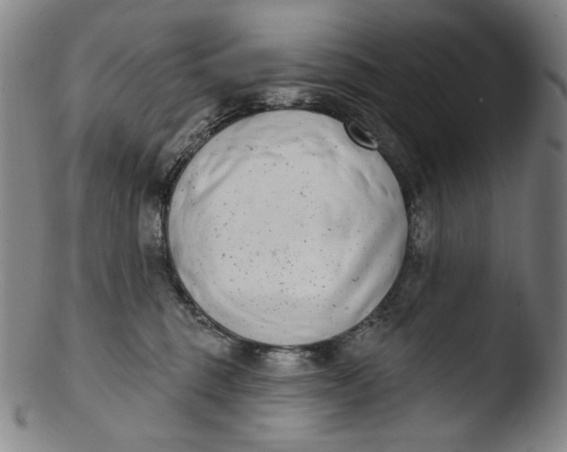 X0000103440375200809261759