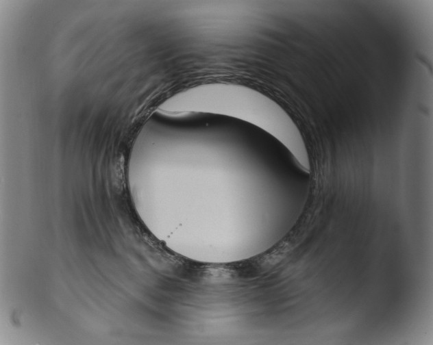 X0000103440376200809261759