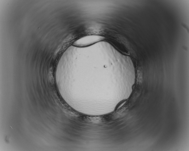 X0000103440377200809261759