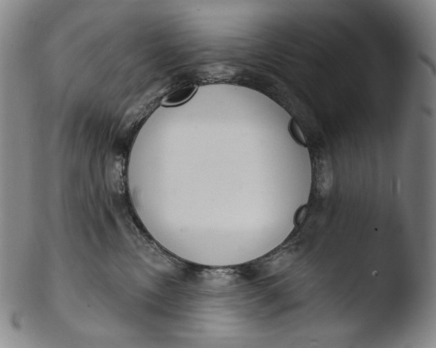 X0000103440378200809261759