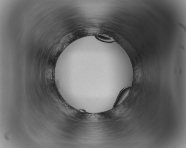 X0000103440379200809261759